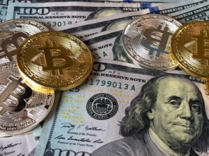 All the money you spend on the packing materials will pay off once you settle in after the move, and you have all of your fragile items in one piece. A couple of hundred-dollar bills and a few bitcoins.