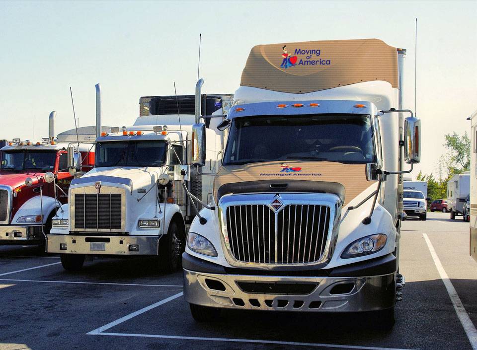 International Movers
