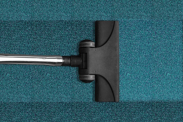 A vacuum and a carpet.