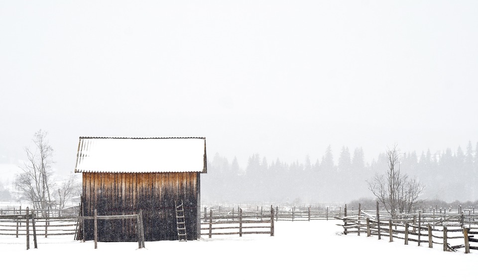 Storing belongings in winter can seem difficult but be easy with these precautions.