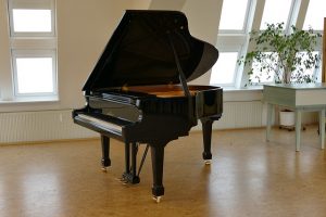 While it doesn’t seem that way, pianos are very delicate. Grand piano