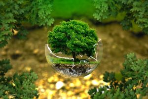 In case you decide to go with renting plastic moving bins, you’ll have a greener relocation. Renting plastic moving bins will help you protect the environment
