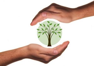 Even though we’re still searching for ways to reduce plastic pollution, some plastics are now more eco-friendly. Two hands protecting