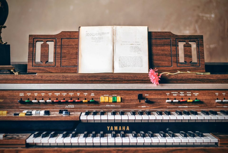 organ