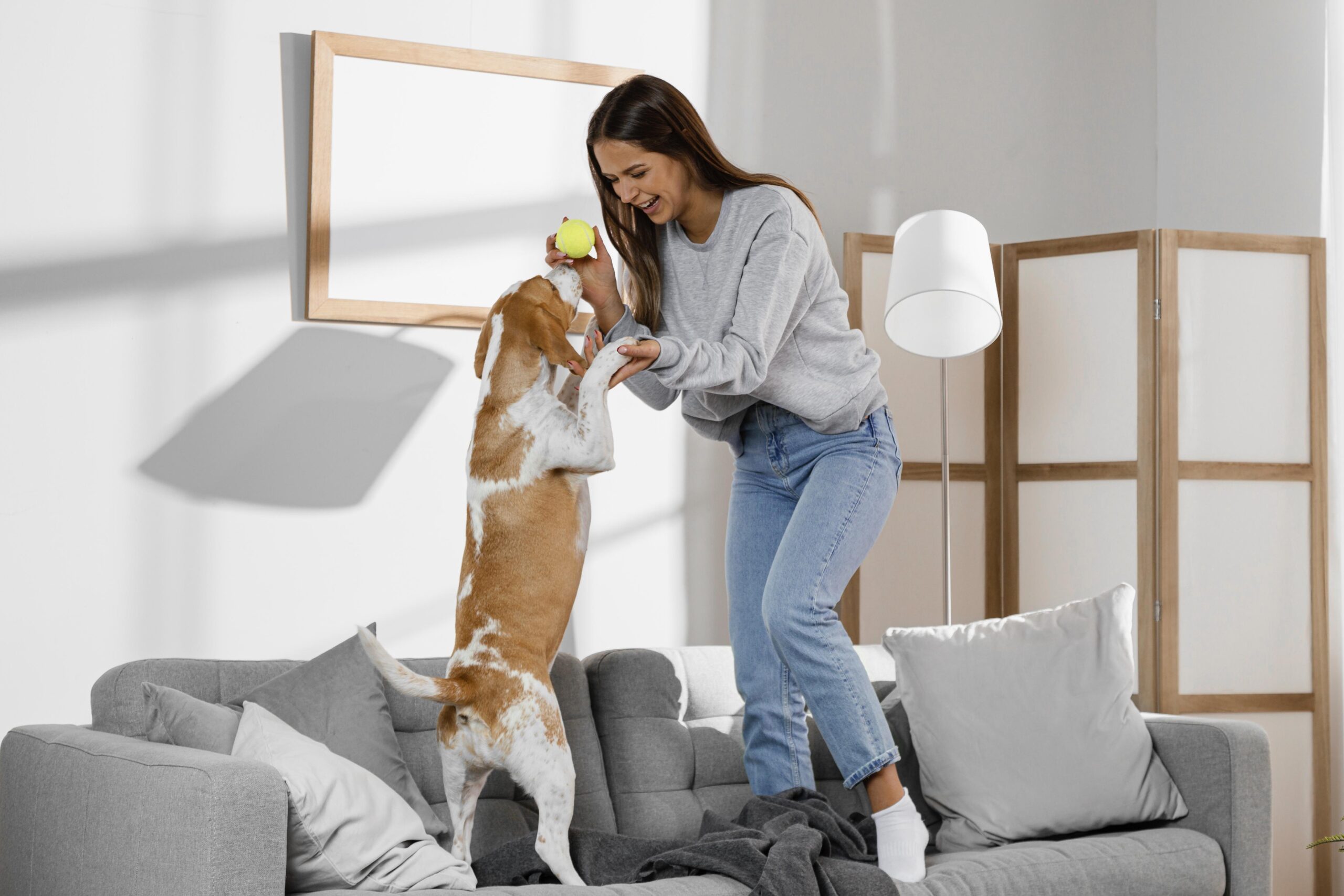 Moving With Pets